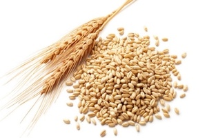 wheat-food-allergy
