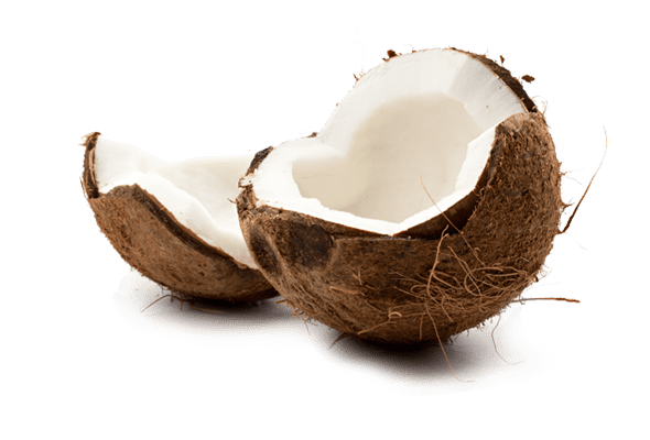 Coconut fruit